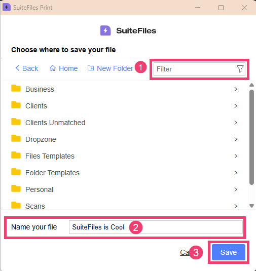 Saving PDFs to SuiteFiles using SuitePrint